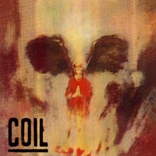 Coil ‎– Hellraiser Themes