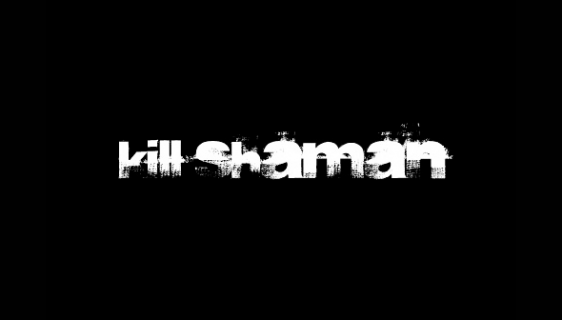 Interview with Bryan Levine Kill Shaman Records music mix