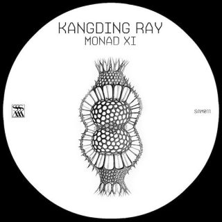 Kangding Ray ‎– Monad XI - SAM011