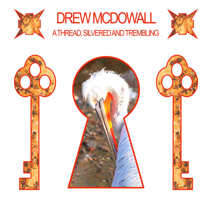 A Thread, Silvered and Trembling — record sleeve