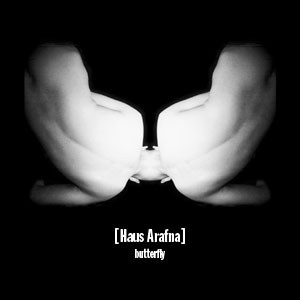 Butterfly — record sleeve