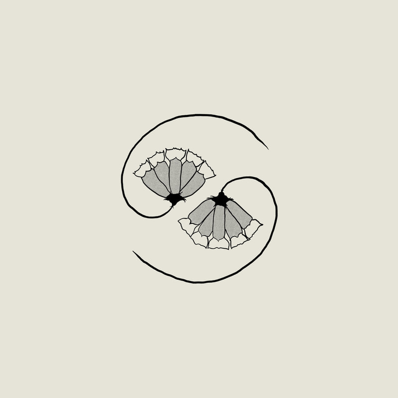 Godspeed You! Black Emperor, G_d’s Pee AT STATE’S END!, release artwork