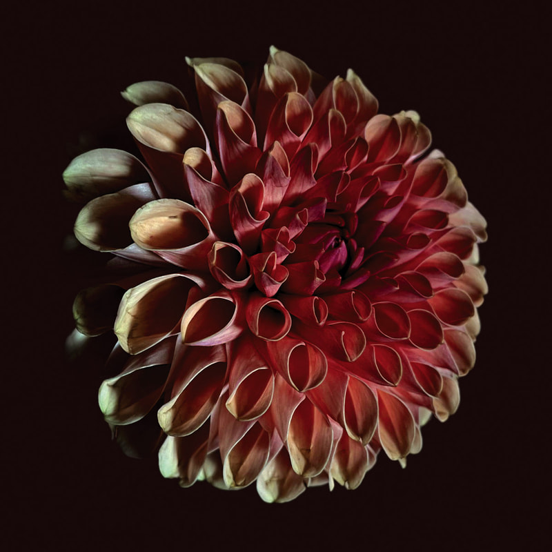 Jessica Moss, Unfolding, release artwork