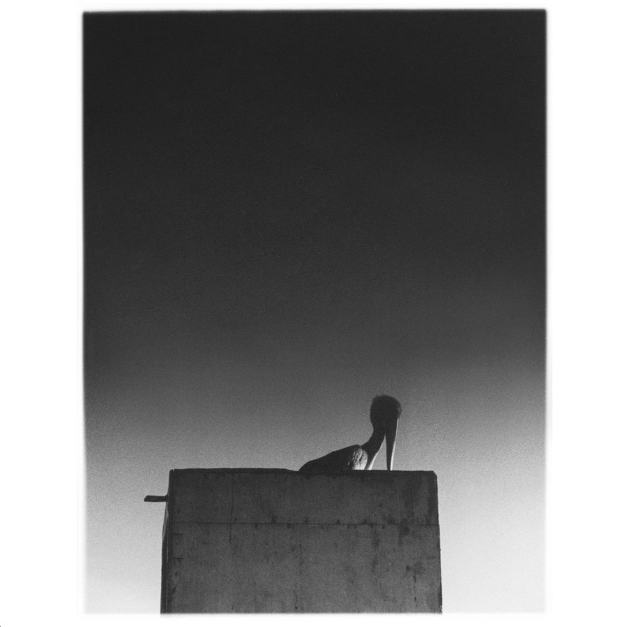 Ø — Sysivalo — record sleeve