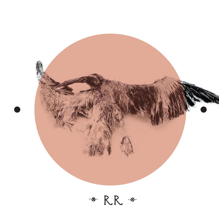 Rrose — Waterfall Variations release artwork