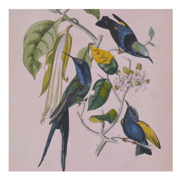Susumu Yokota — Sakura release artwork