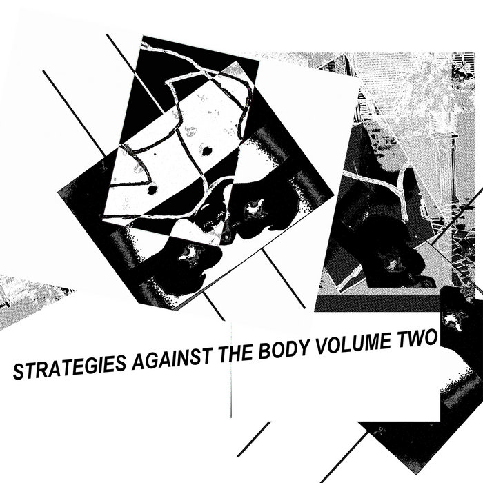Various Artists — Strategies Against The Body Vol. 2 release artwork