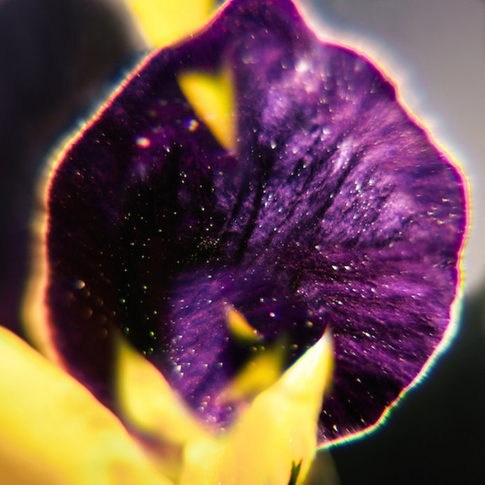 Fis — From Patterns to Details release artwork