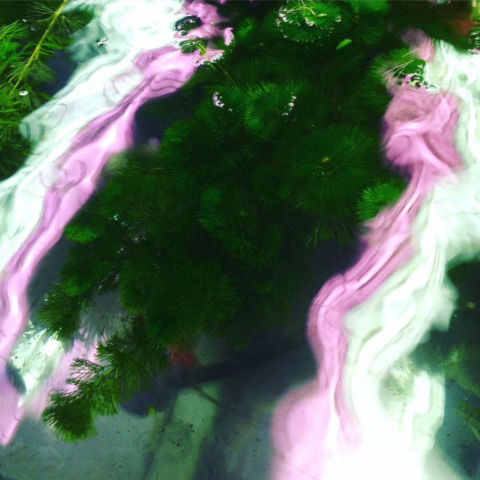 SKY H1 — Motion release artwork