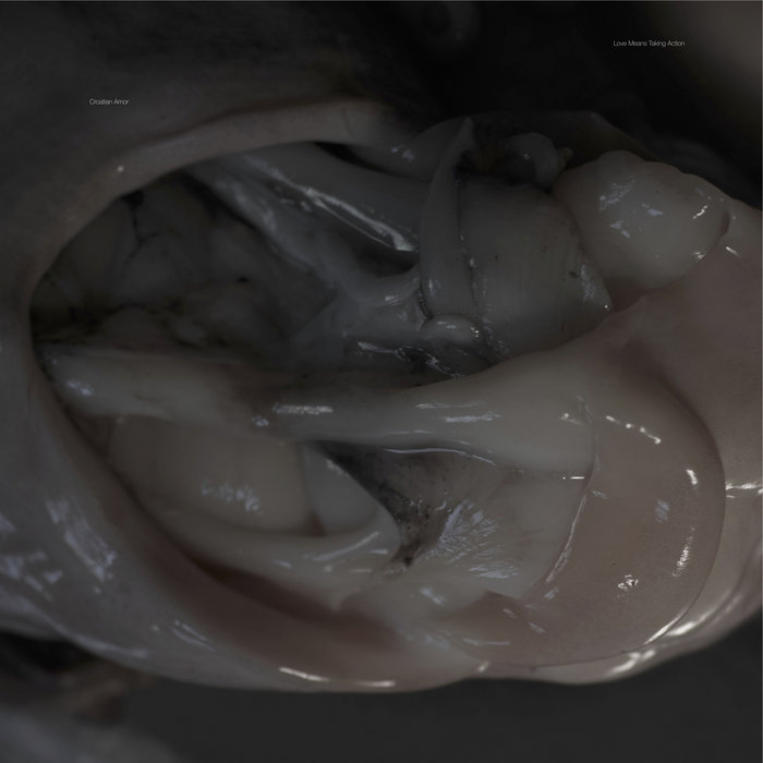 Croatian Amor — Love Means Taking Action release artwork