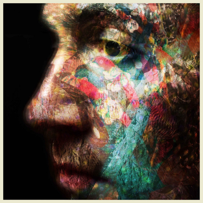 Daniel O'Sullivan — Veld release artwork