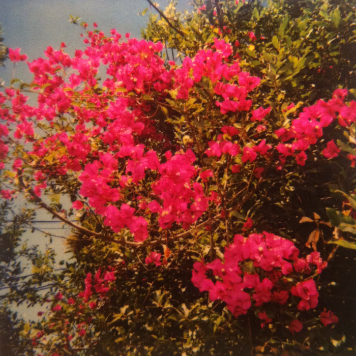 Jefre Cantu-Ledesma — Songs of Forgiveness release artwork