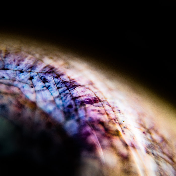 emptyset — Skin release artwork