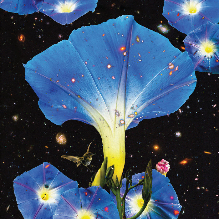 Sarah Louise — Nighttime Birds and Morning Stars release artwork