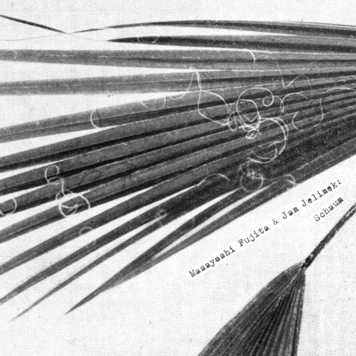 Masayoshi Fujita & Jan Jelinek — Schaum release artwork