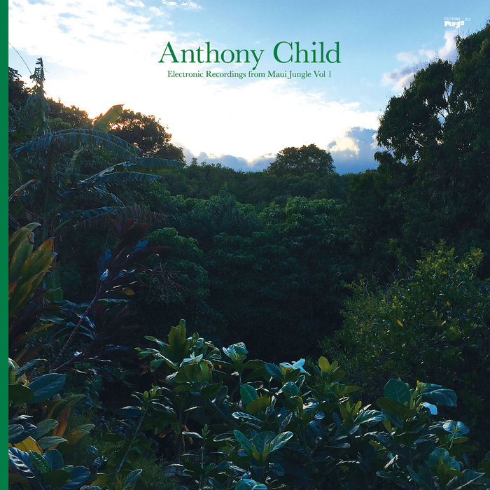 Anthony Child — Electronic Recordings from Maui Jungle Vol. 1 release artwork