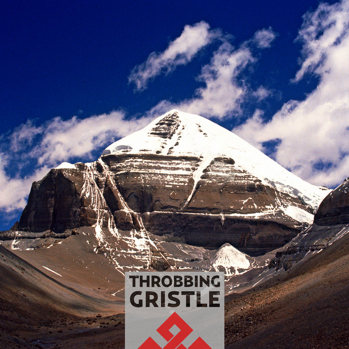 Throbbing Gristle — Part Two: The Endless Not release artwork