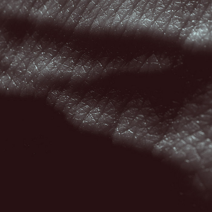 JK Flesh — Posthuman+ release artwork