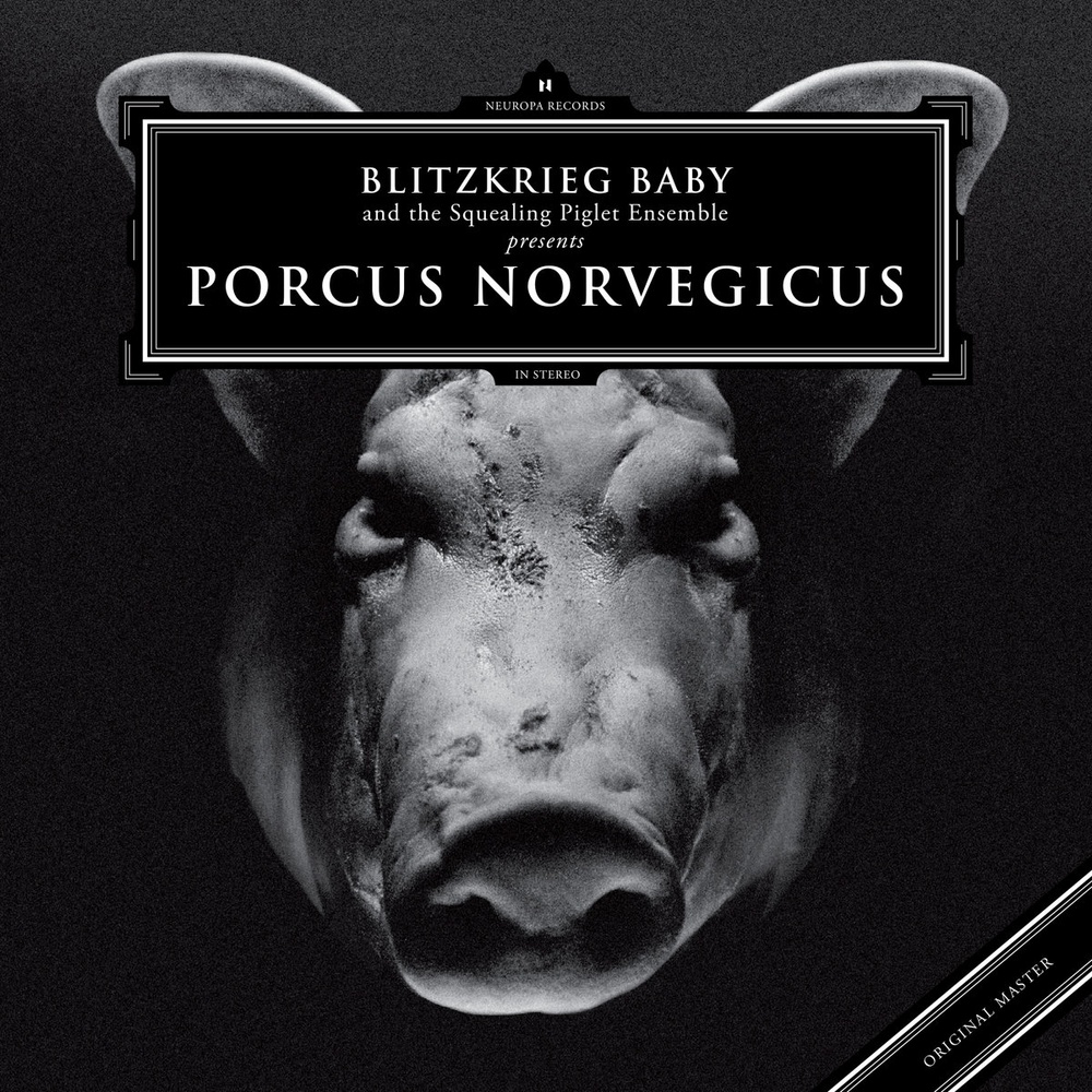 Blitzkrieg Baby — Porcus Norvegicus release artwork