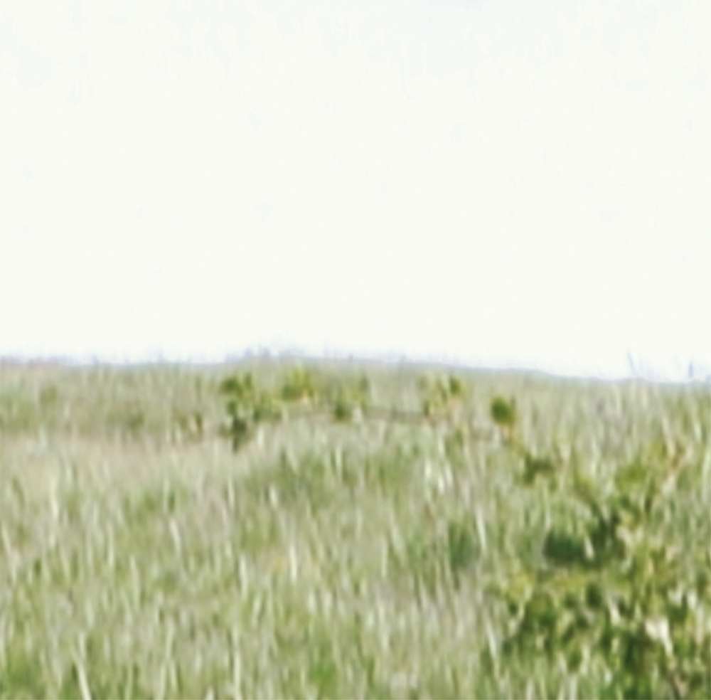 N — Gager release artwork