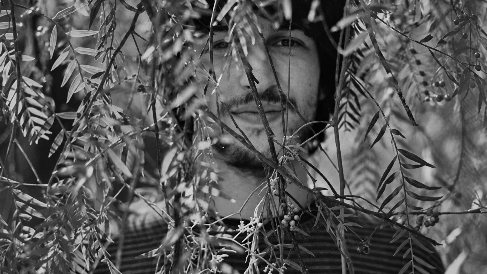 Golders Green looking through overlapping leaves and branches in a restrained monochrome portrait.