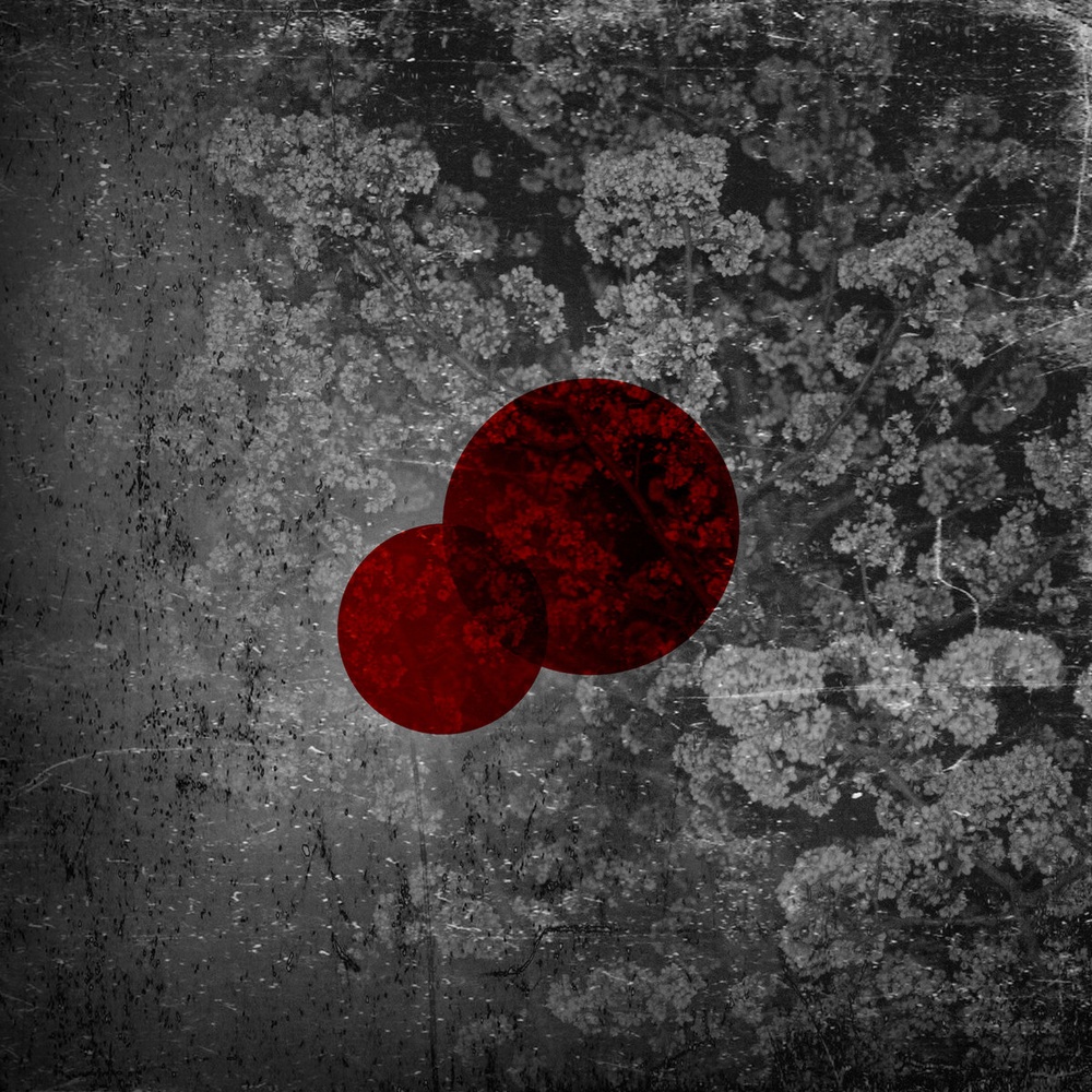 Billow Observatory — Billow Observatory release artwork