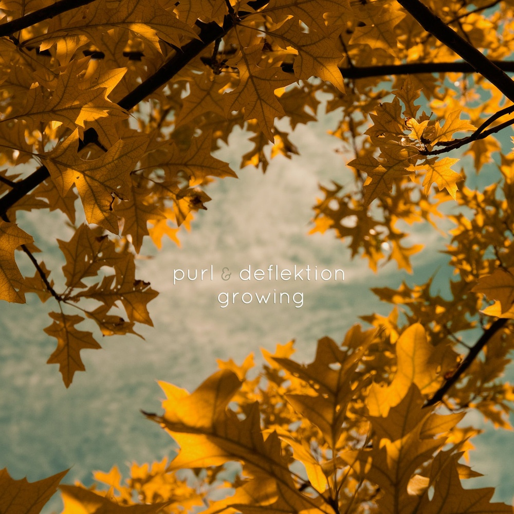 Purl, Deflektion — Growing release artwork