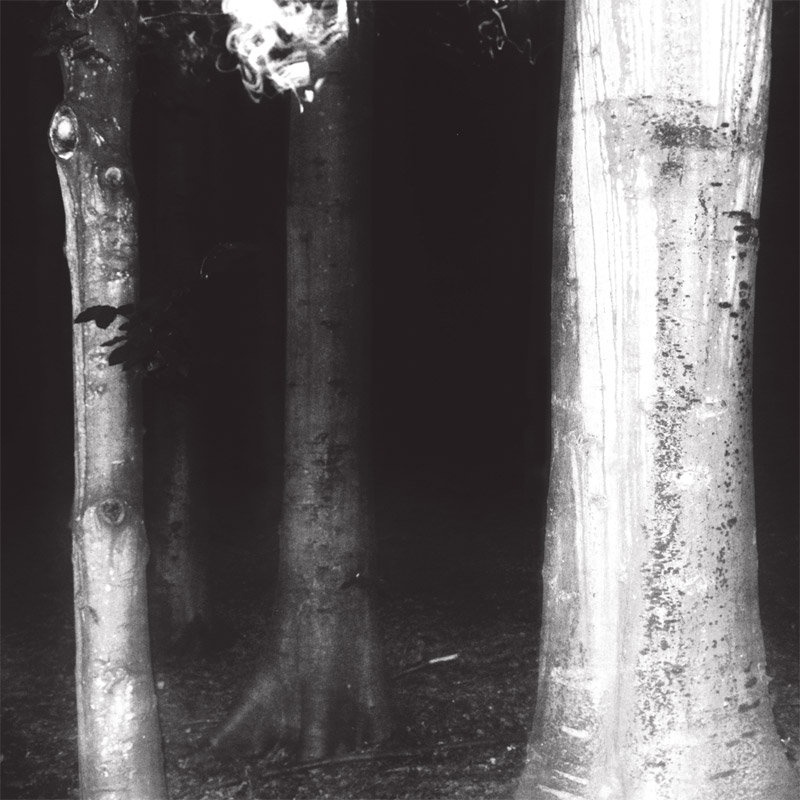 Brambles — Charcoal release artwork