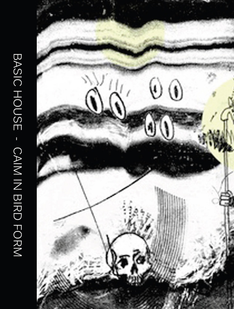 Basic House — Caim In Bird Form release artwork