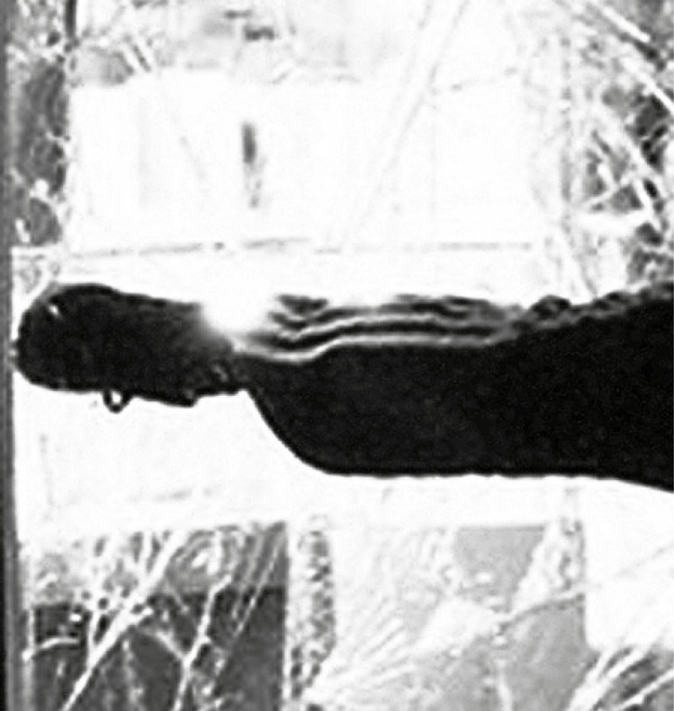 Skirt — Tumulto. SEMANTICA 27 release artwork