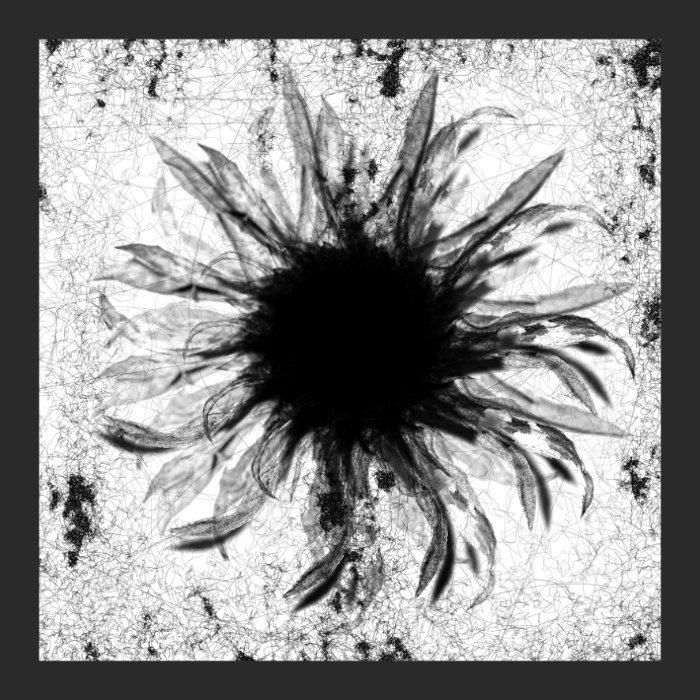 Honzo — Melancholia (incl. Shadows Remix) release artwork