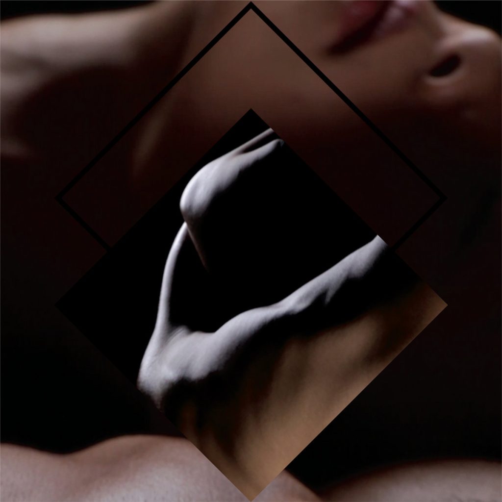 Holly Herndon — Movement release artwork