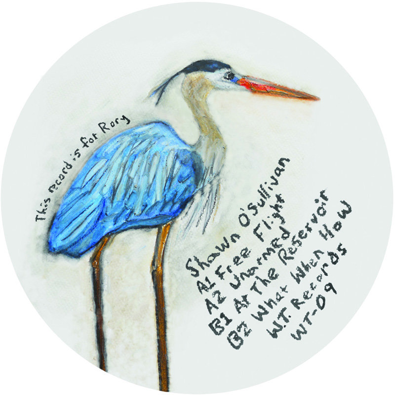 Shawn O'Sullivan — Free Flight release artwork