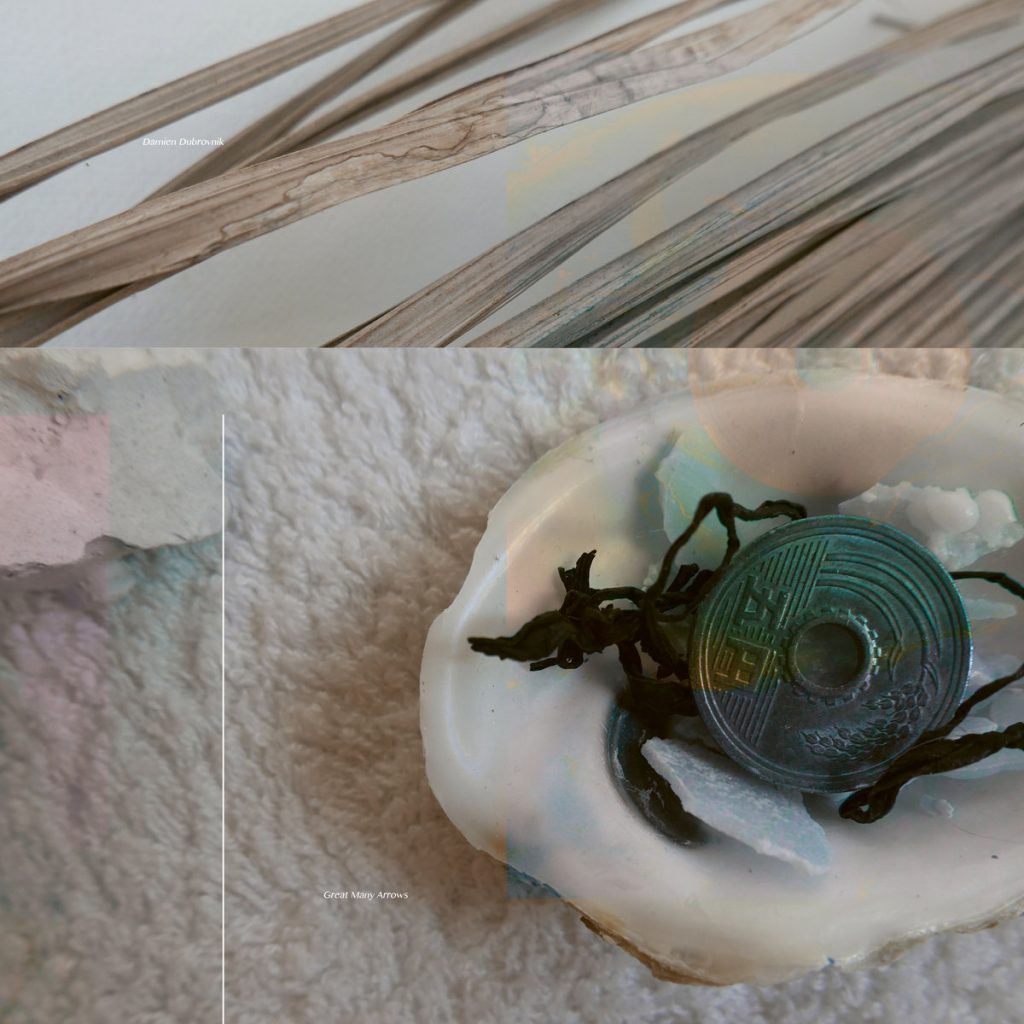 Damien Dubrovnik — Great Many Arrows release artwork