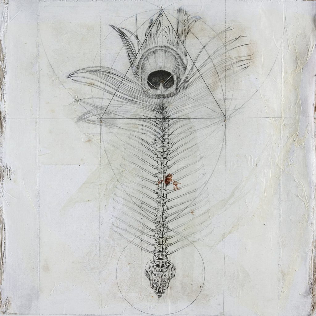 Inner8 — INNER8 release artwork