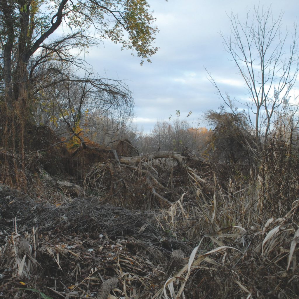 ZimmerFrei — Positions release artwork