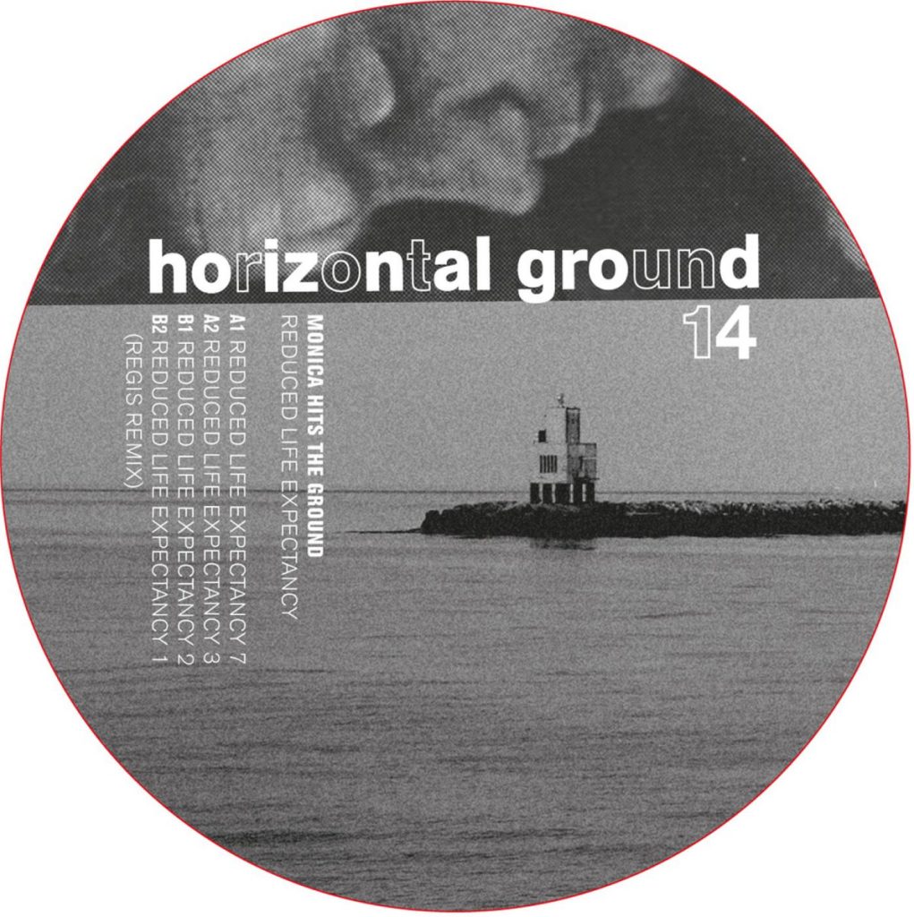 Monica Hits The Ground — Reduced Life Expectancy release artwork