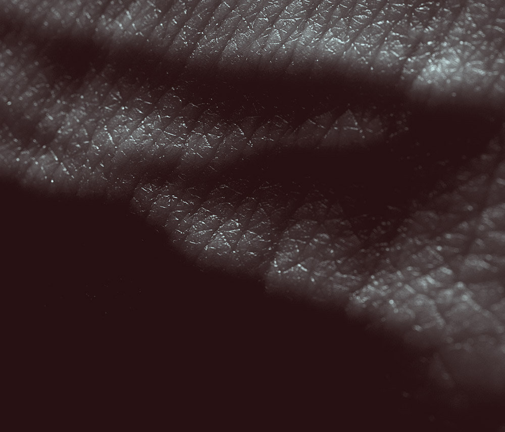 JK Flesh — Posthuman+ release artwork