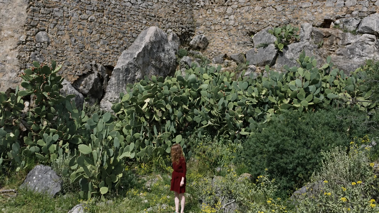 Félicia Atkinson, archival artist photograph.