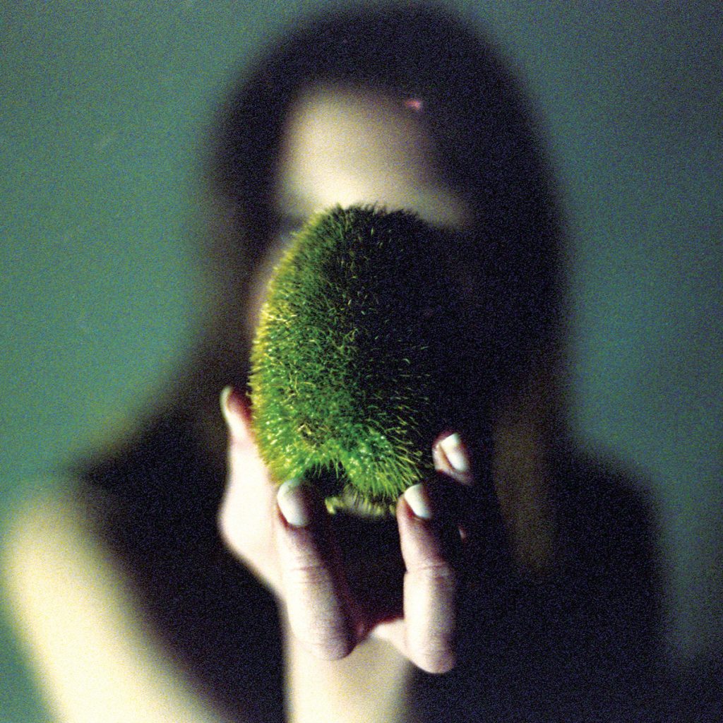 Circuit des Yeux — In Plain Speech release artwork