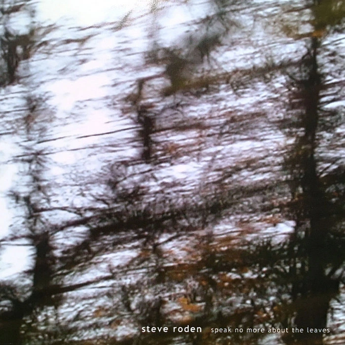 Steve Roden — Speak No More About the Leaves release artwork