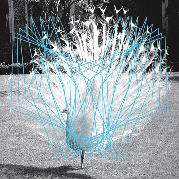 Valerio Tricoli / Thomas Ankersmit — Forma II release artwork