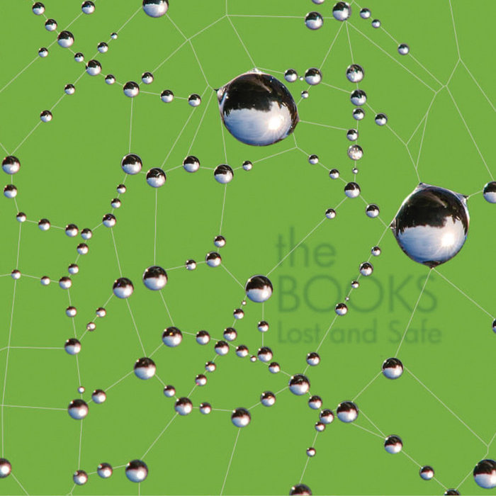 The Books — Lost and Safe release artwork