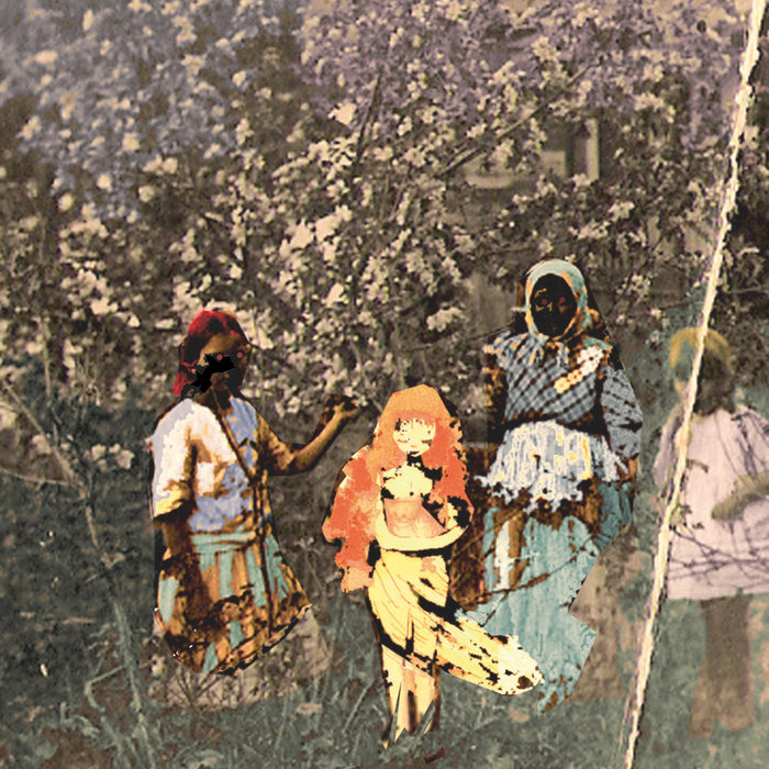 Paavoharju — Laulu laakson kukista release artwork