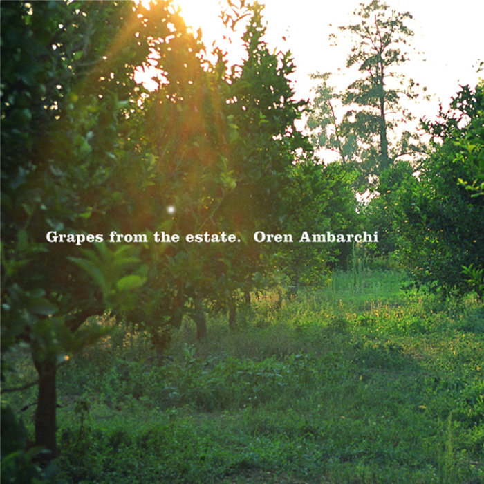 Oren Ambarchi — Grapes from the estate release artwork