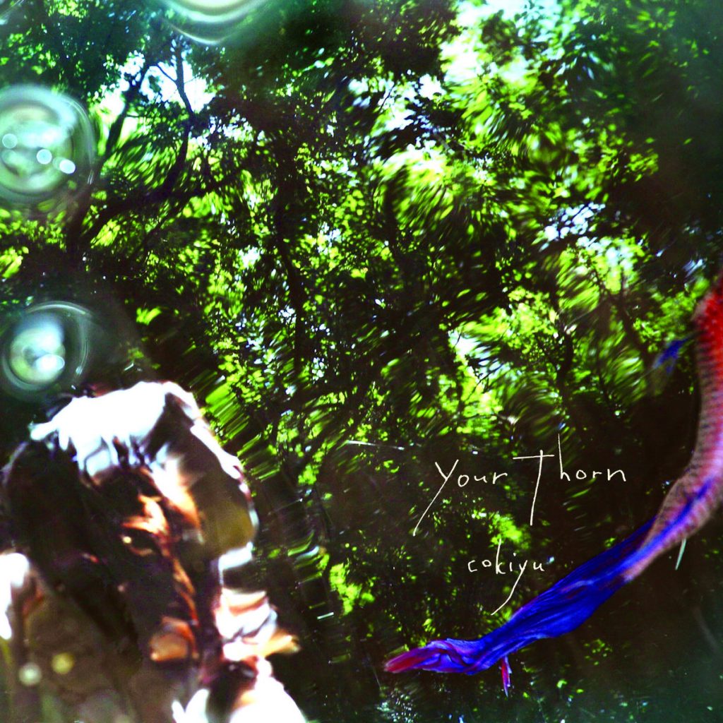 Cokiyu — Your Thorn release artwork