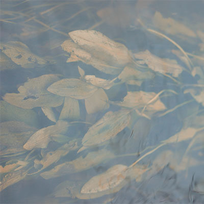 Listening Mirror — Resting in Aspic release artwork