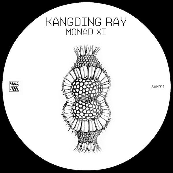 Kangding Ray – Monad XI - SAM011