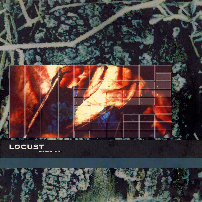 Locust — Weathered Well release artwork