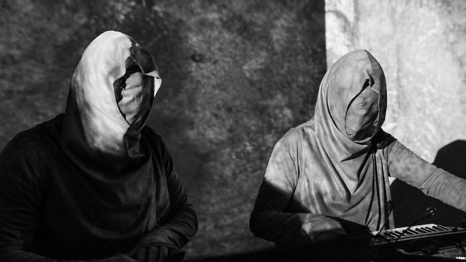 SHXCXCHCXSH / Avian archive, 2016
